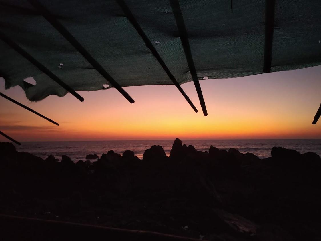 21Coconuts Inn Arambol Dış mekan fotoğraf